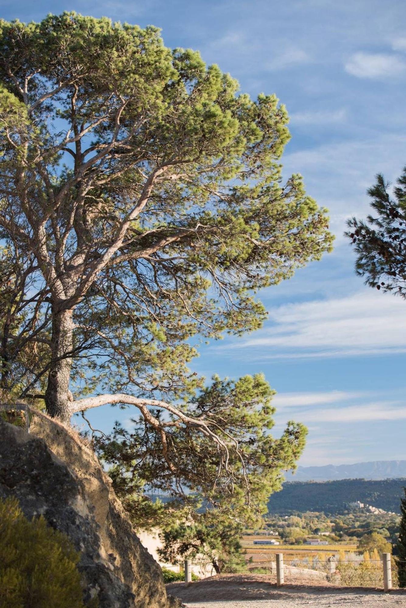 Charmante Maison De Village Au Coeur Du Luberon Cucuron Eksteriør bilde